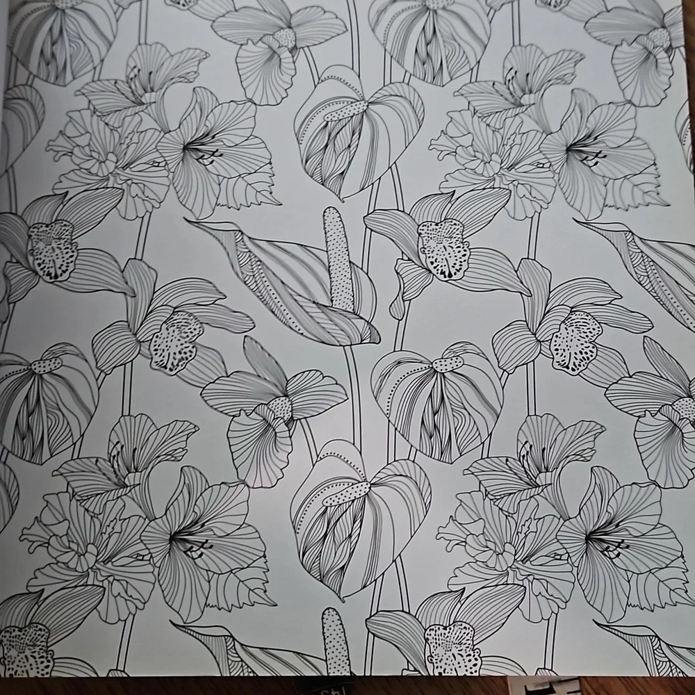 Coloring Book - Picture 10 of 16